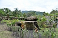 278_Papua_New_Guinea_Rabaul_Museum