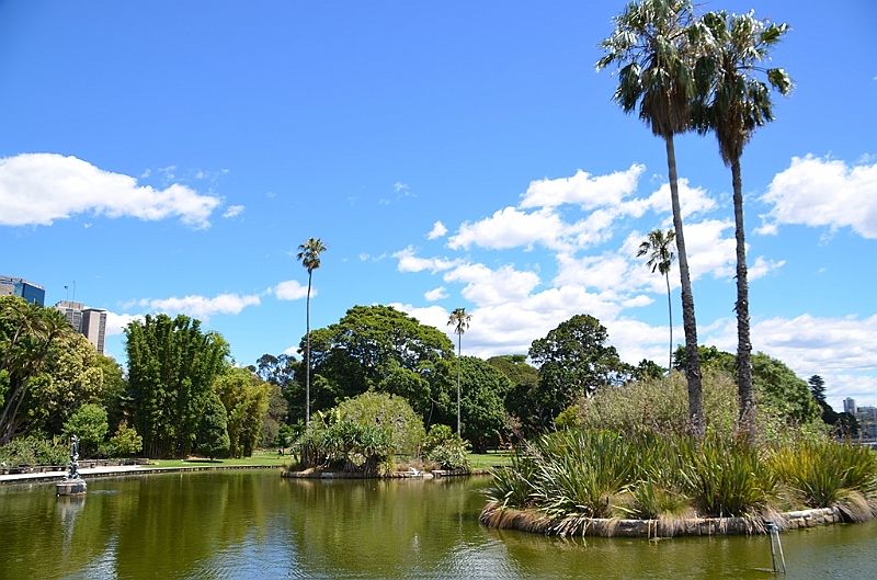 080_Australia_Sydney_Royal_Botanic_Gardens.JPG