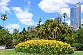 068_Australia_Sydney_Royal_Botanic_Gardens