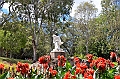 075_Australia_Sydney_Royal_Botanic_Gardens