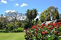 076_Australia_Sydney_Royal_Botanic_Gardens