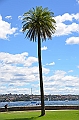 079_Australia_Sydney_Royal_Botanic_Gardens