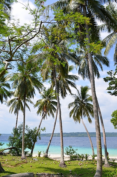 060_Vanuatu_Paradise_Lagoon.JPG