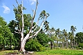 059_Vanuatu_Paradise_Lagoon