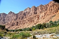 149_Oman_Wadi_Tiwi