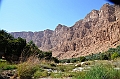 151_Oman_Wadi_Tiwi