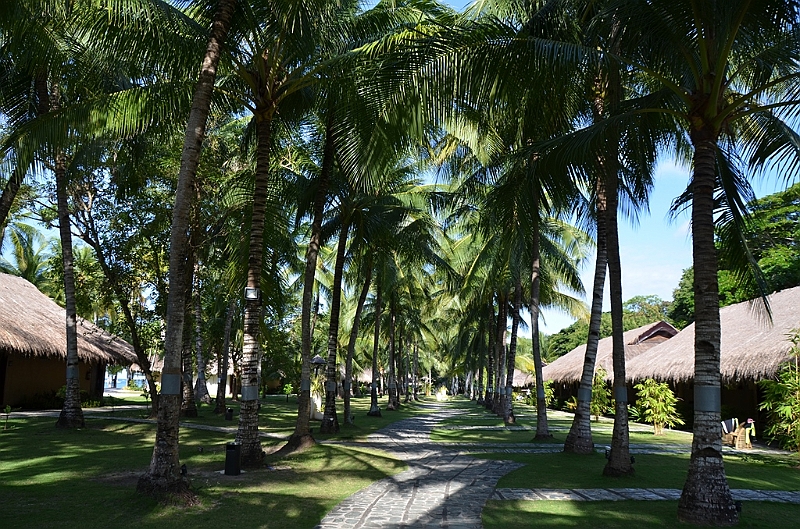 128_Philippines_Bohol_South_Palms_Resort_Panglao.JPG