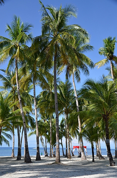 150_Philippines_Bohol_South_Palms_Resort_Panglao.JPG