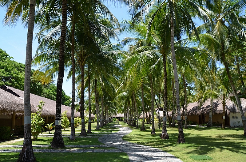 165_Philippines_Bohol_South_Palms_Resort_Panglao.JPG