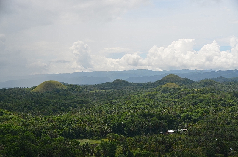183_Philippines_Bohol_Chocolate_Hills.JPG