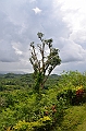 189_Philippines_Bohol_Chocolate_Hills