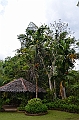 194_Philippines_Bohol_Butterfly_Conservation_Center