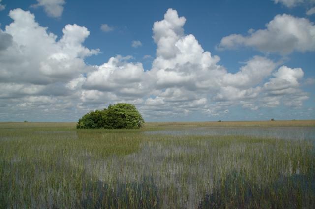 184_USA_Everglades_National_Park.JPG