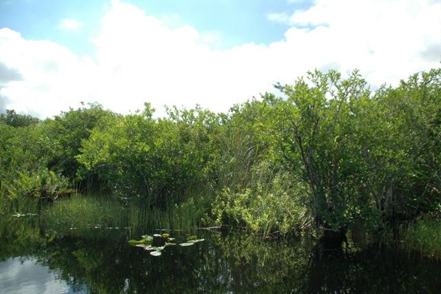 192_USA_Everglades_National_Park.JPG