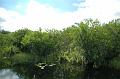 192_USA_Everglades_National_Park