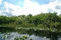 193_USA_Everglades_National_Park