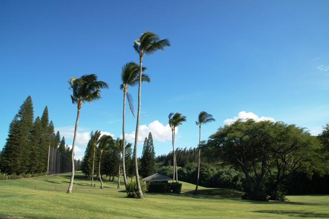 334_USA_Hawaii_Maui_Kapalua_The_Ritz_Carlton_Golf.JPG