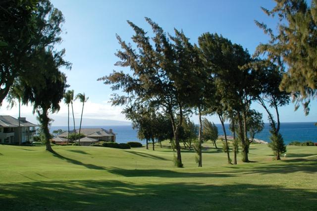 336_USA_Hawaii_Maui_Kapalua_The_Ritz_Carlton_Golf.JPG