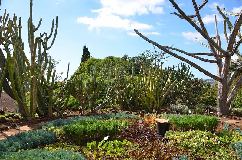 268_Portugal_Madeira_Funchal_Botanical_Garden.JPG