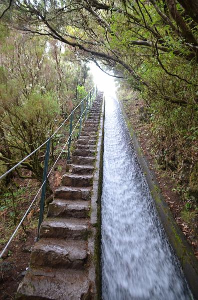 283_Portugal_Madeira.JPG