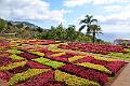 265_Portugal_Madeira_Funchal_Botanical_Garden