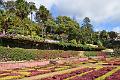 266_Portugal_Madeira_Funchal_Botanical_Garden