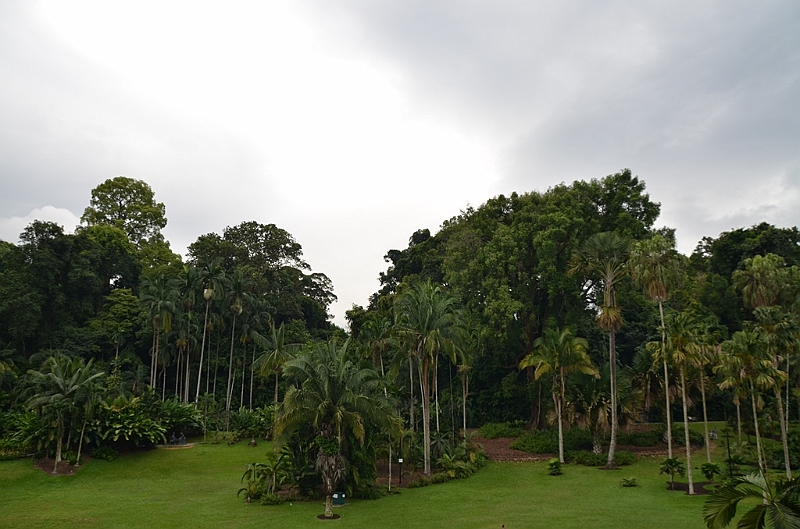 172_Singapore_Botanic_Gardens.JPG