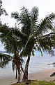 167_French_Polynesia_Gambier_Islands_Aukena