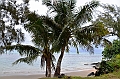 168_French_Polynesia_Gambier_Islands_Aukena