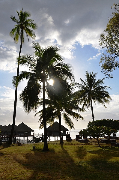 020_Tahiti_Ia_Ora_Beach_Resort.JPG