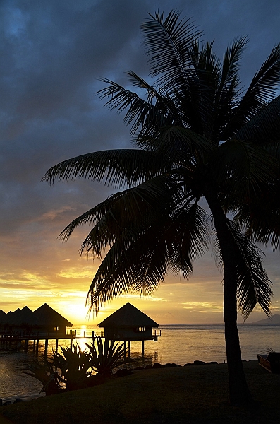 030_Tahiti_Ia_Ora_Beach_Resort.JPG