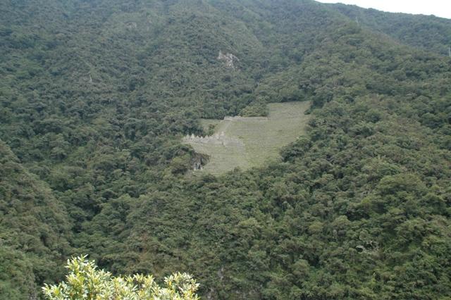 286_Peru_Inkatrail_Winaywayna.JPG