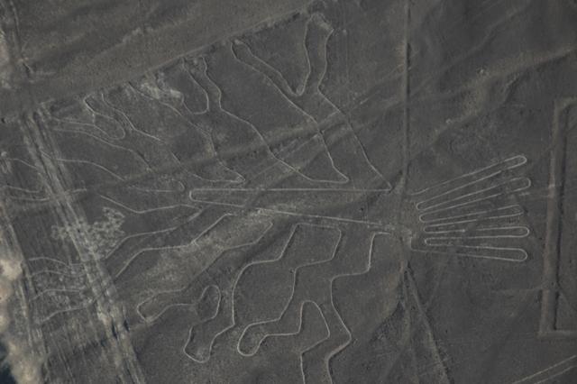 060_Peru_Nazca_Lines.JPG