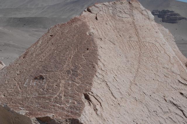 112_Peru_Petroglyphen_in_Toro_Muerto.JPG