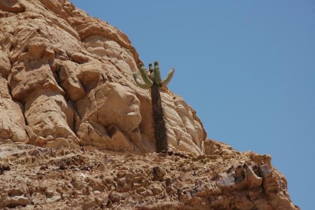 123_Peru.JPG