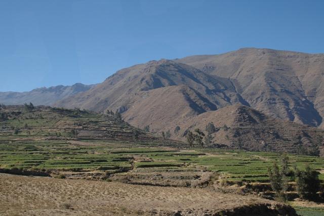 126_Peru_Cabanaconde.JPG