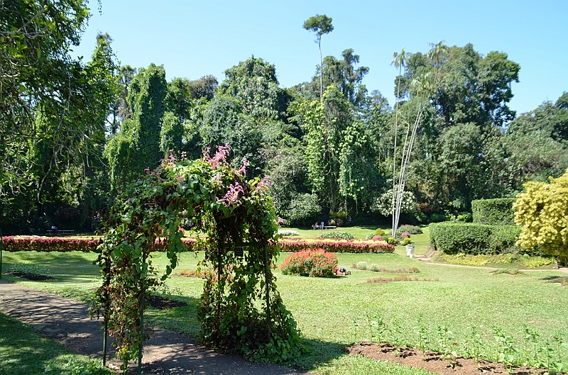 301_Sri_Lanka_Kandy_Botanic_Gardens.JPG