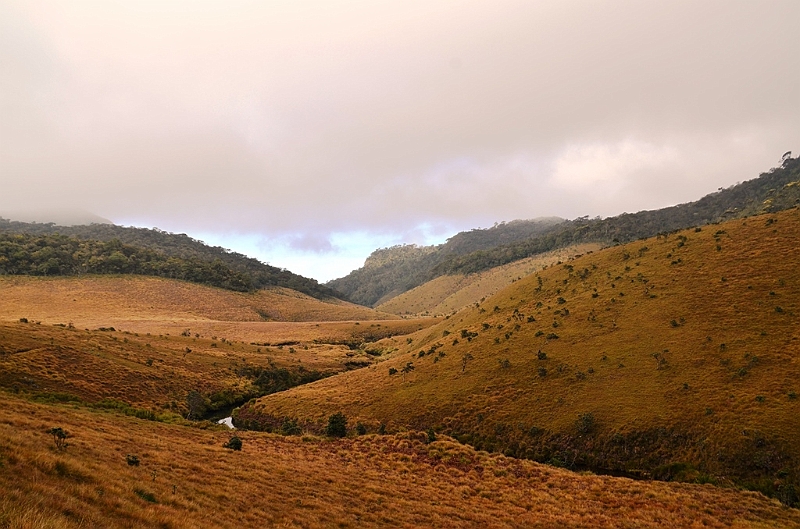 389_Sri_Lanka_Horton_Plains_NP.JPG