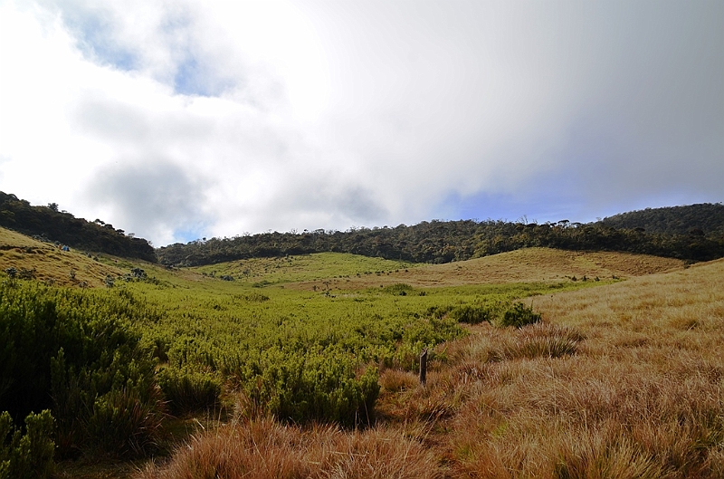 391_Sri_Lanka_Horton_Plains_NP.JPG