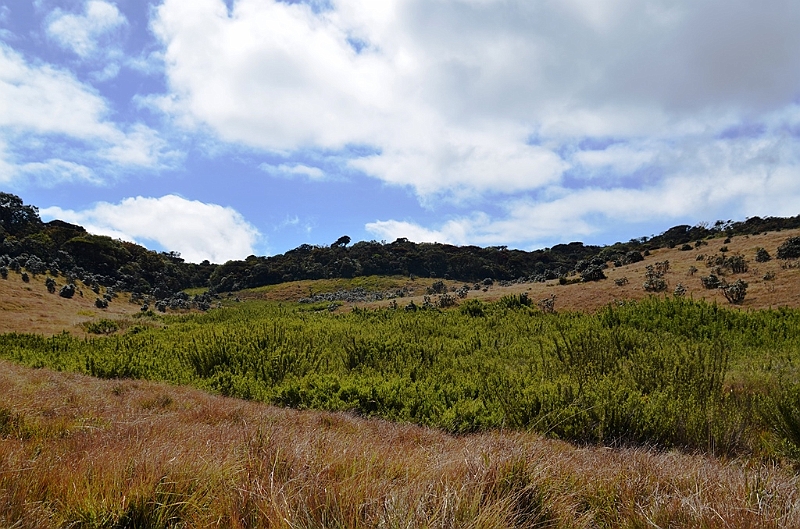 406_Sri_Lanka_Horton_Plains_NP.JPG