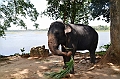 115_Sri_Lanka_Giritale