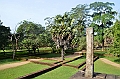 152_Sri_Lanka_Polonnaruwa