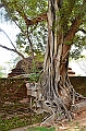 187_Sri_Lanka_Polonnaruwa