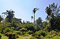 281_Sri_Lanka_Kandy_Botanic_Gardens