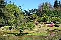 285_Sri_Lanka_Kandy_Botanic_Gardens