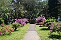 294_Sri_Lanka_Kandy_Botanic_Gardens