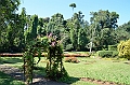 301_Sri_Lanka_Kandy_Botanic_Gardens