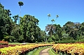 302_Sri_Lanka_Kandy_Botanic_Gardens