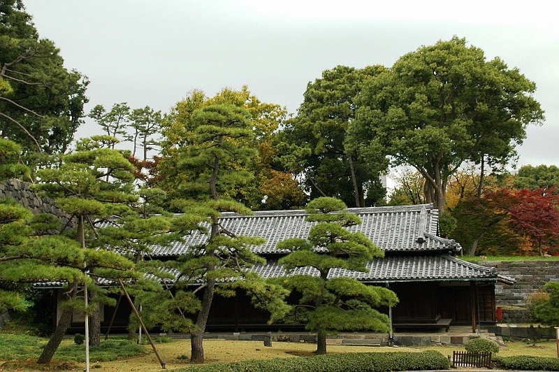 047_Tokyo_Imperial_Palace_Gardens.JPG