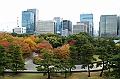 041_Tokyo_Imperial_Palace_Gardens